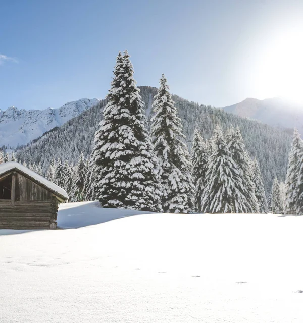 Il vostro hotel per il trekking in Val Pusteria: il Kristall