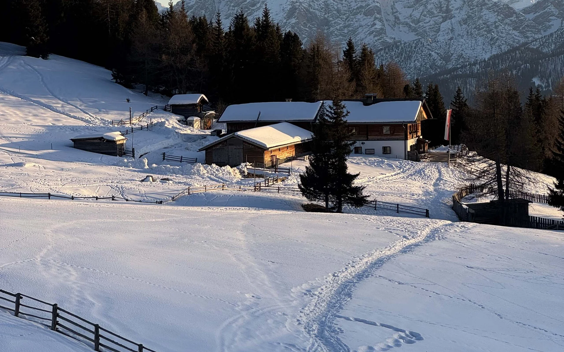 Malga Tesido, Tesido