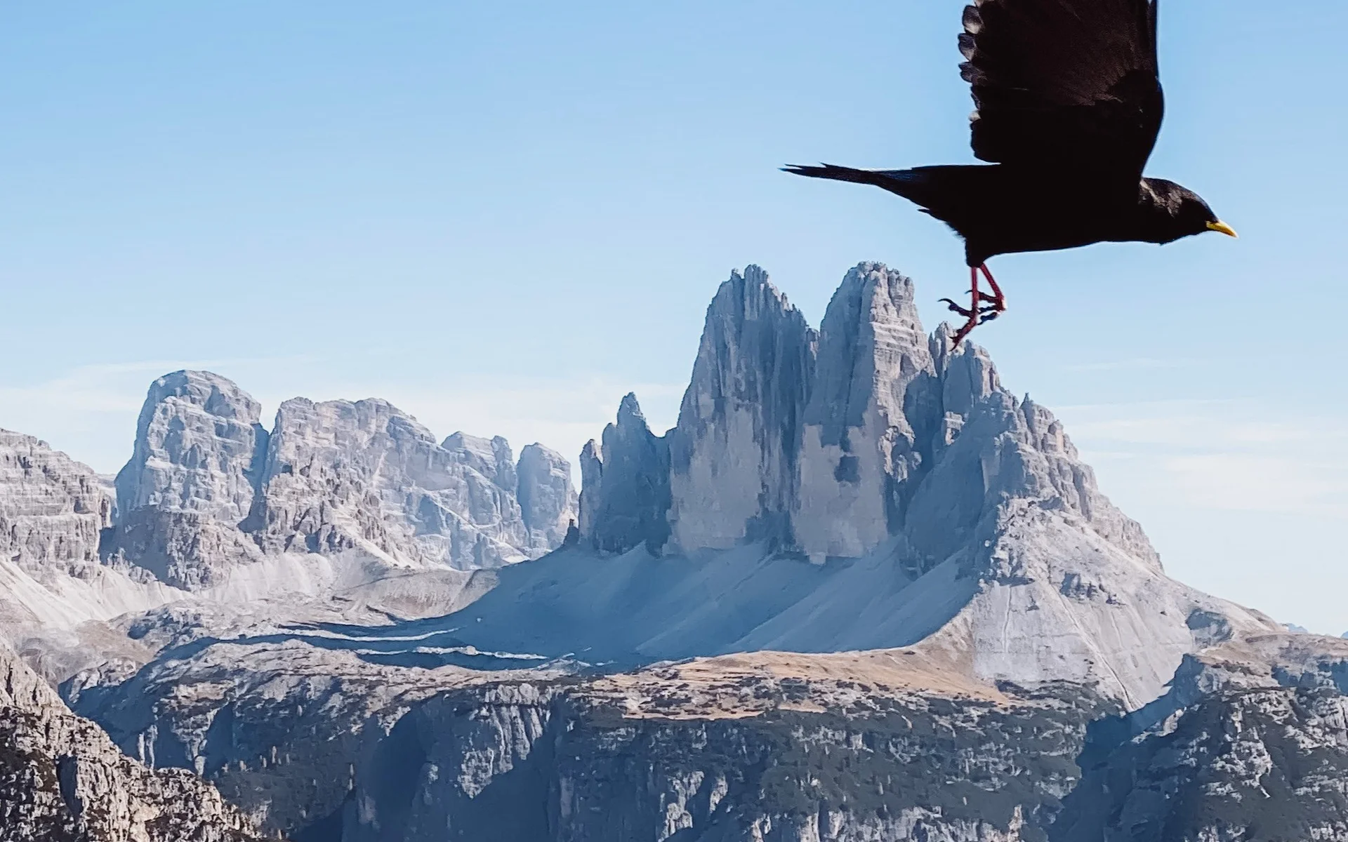 Monte Specie, Braies