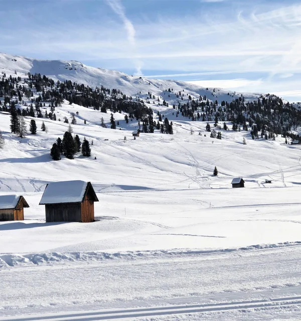 Settimana bianca a Plan de Corones, all’Hotel Kristall