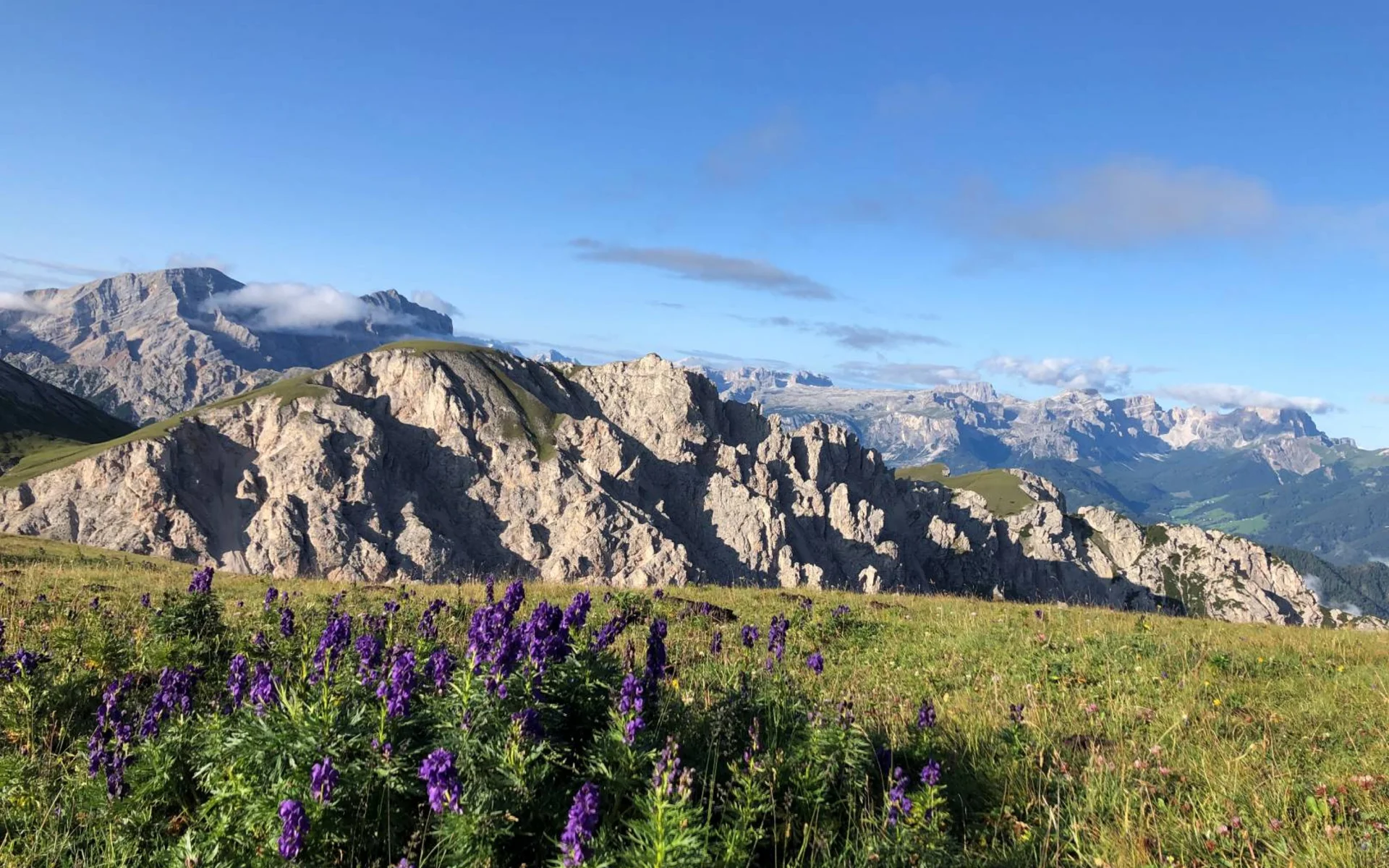 Lago di Fojedöra & Col 'Alc, Valdaora Lago di Fojedöra & Col 'Alc, Valdaora