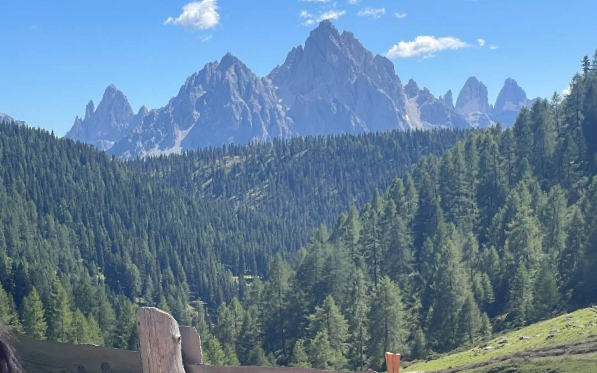 Malga Steinberg, Dobbiaco