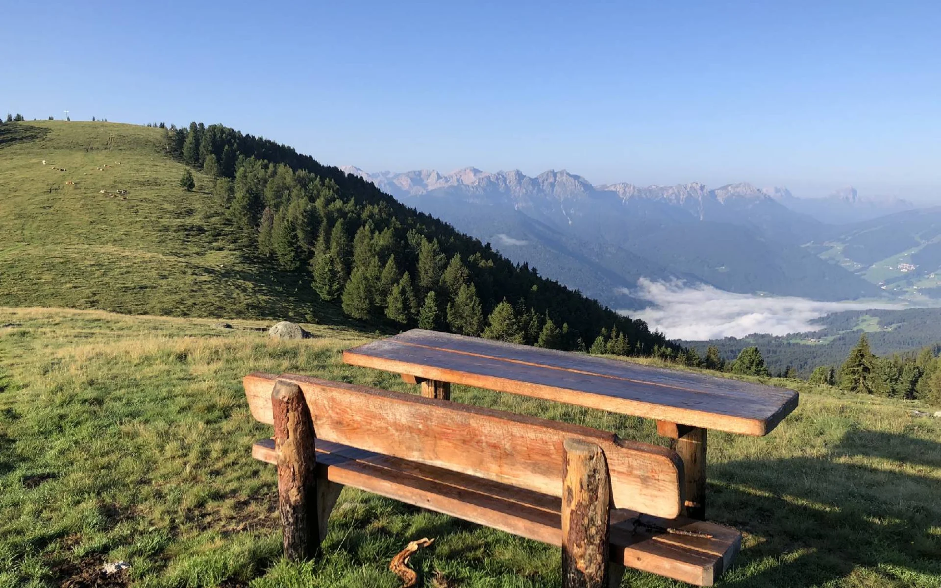 Malga Tesido, Tesido