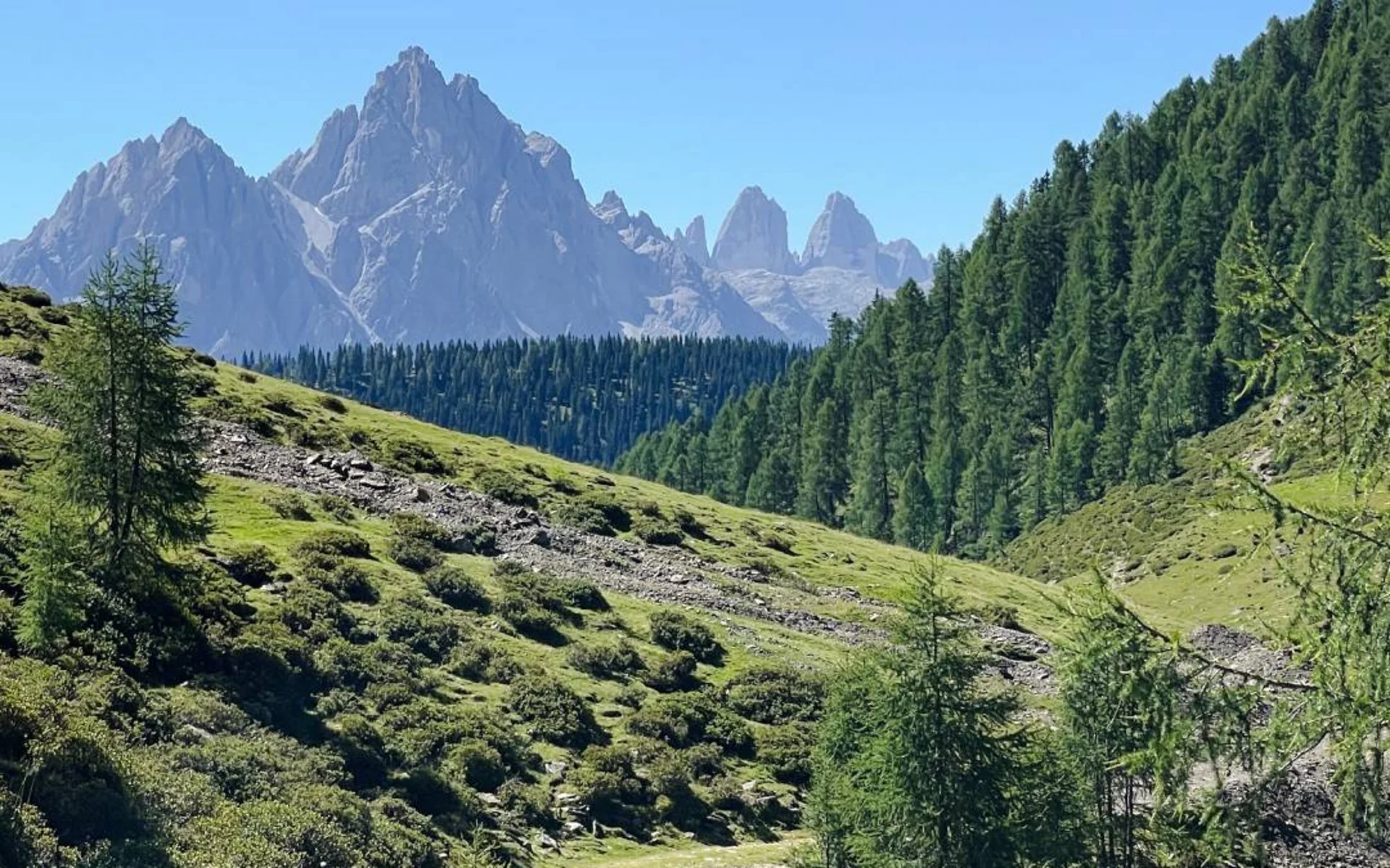 Malga Steinberg, Dobbiaco