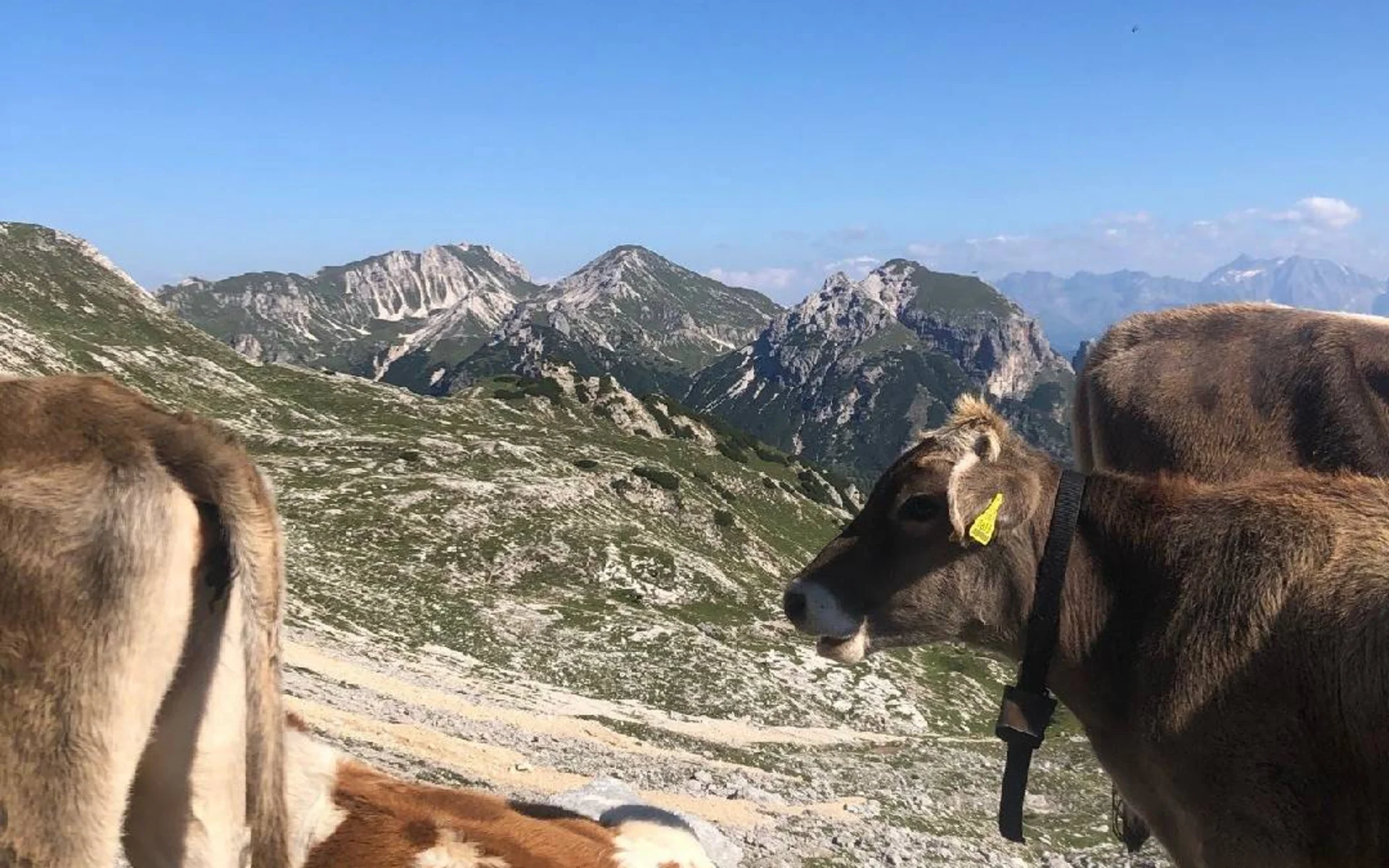 Malga Rossalm, Braies