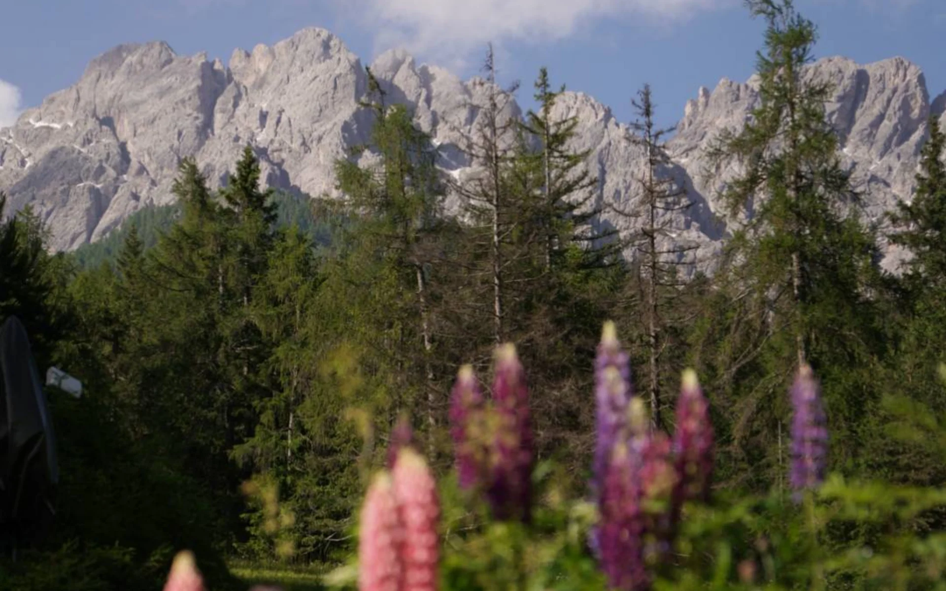 Pista estiva per slittini “Funbob”, Baranci Pista estiva per slittini “Funbob”, Baranci