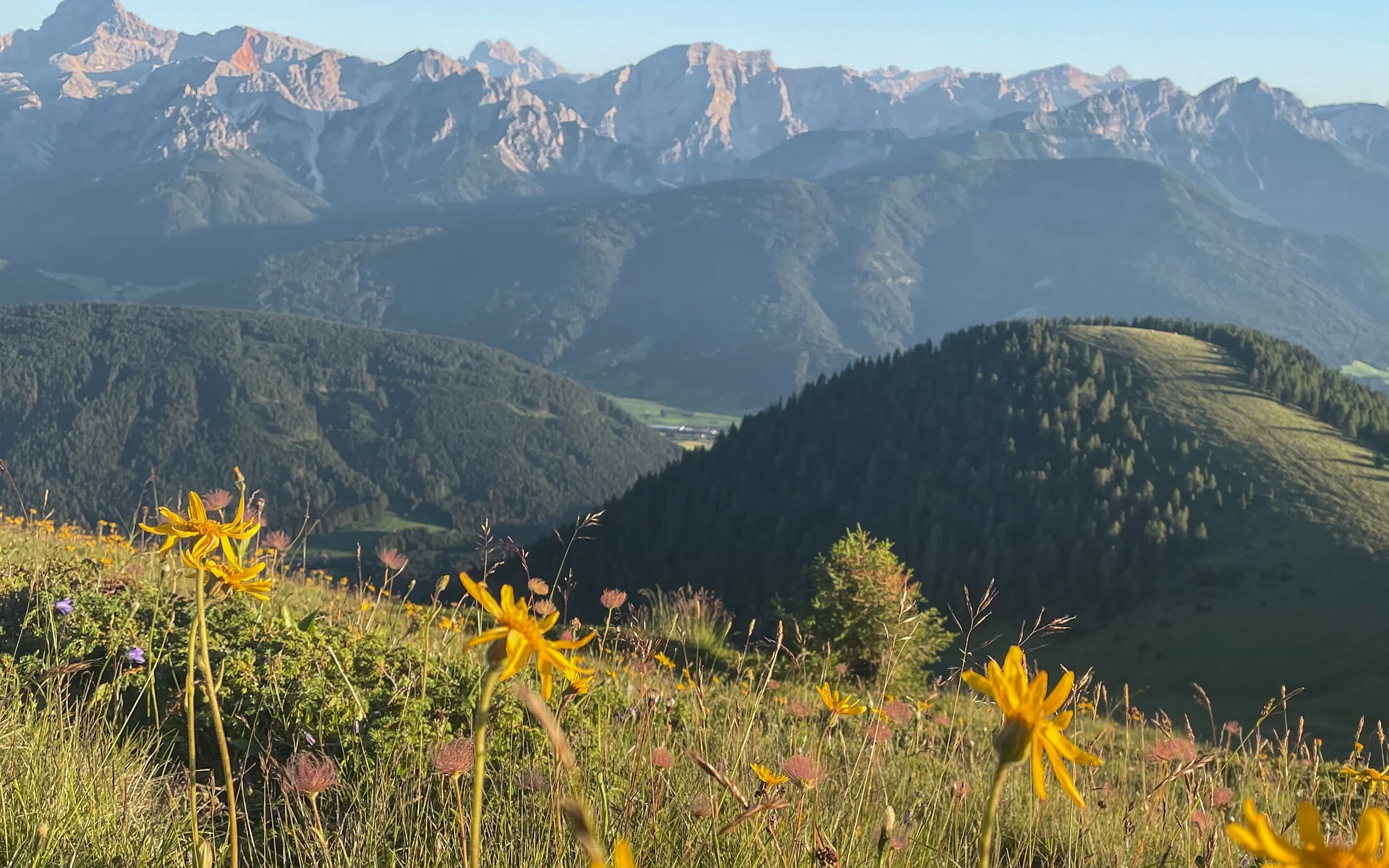 Monte Lutto, Monte Durra, e Rudlhorn, Tesido Monte Lutto, Monte Durra, e Rudlhorn, Tesido