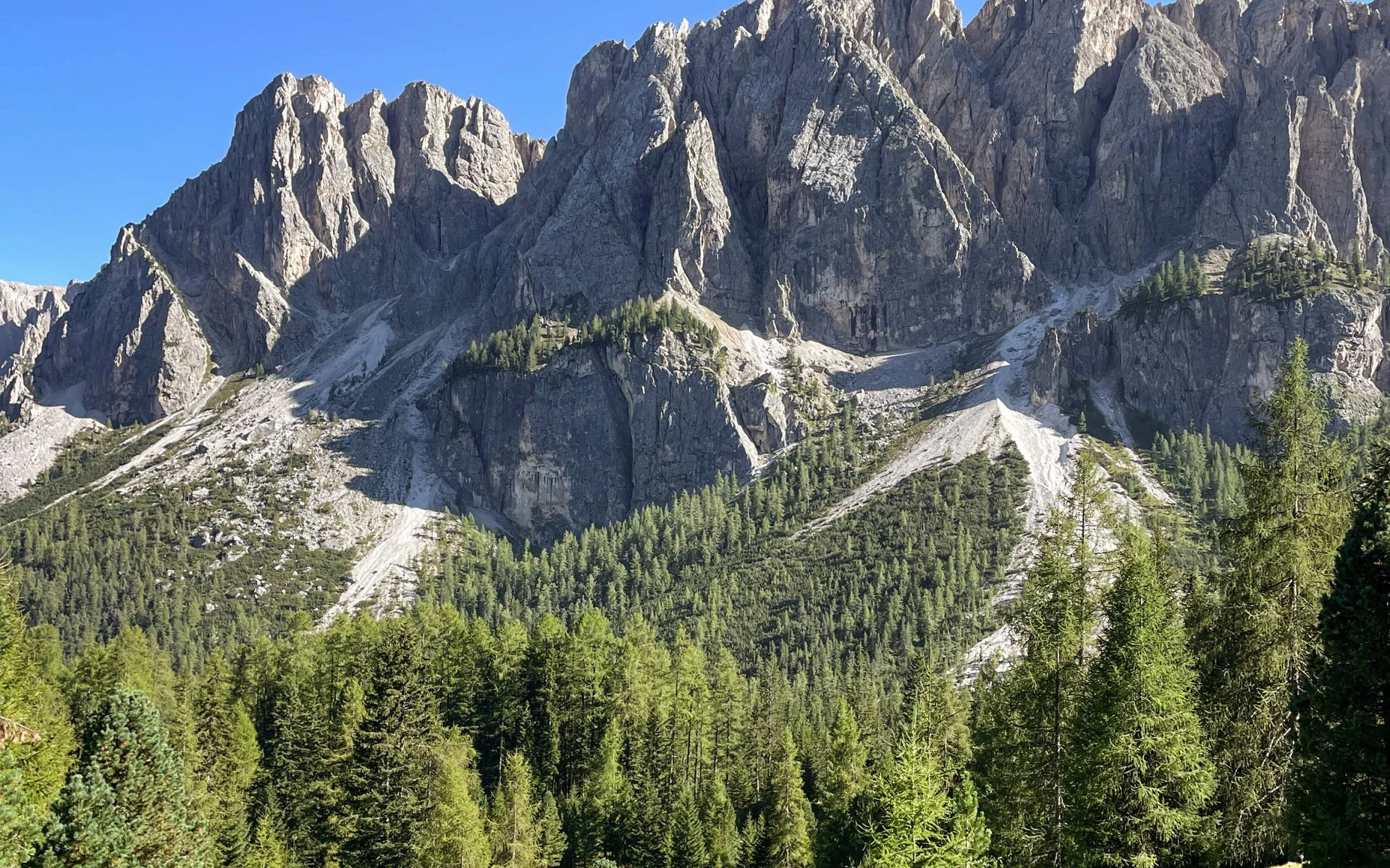 Ütia Ciampcios, Longiaru