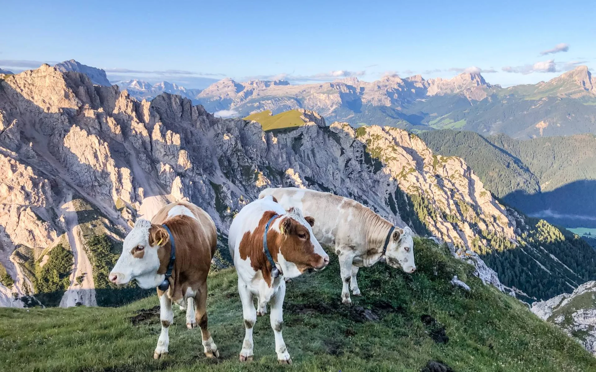 Lago di Fojedöra & Col 'Alc, Valdaora Lago di Fojedöra & Col 'Alc, Valdaora