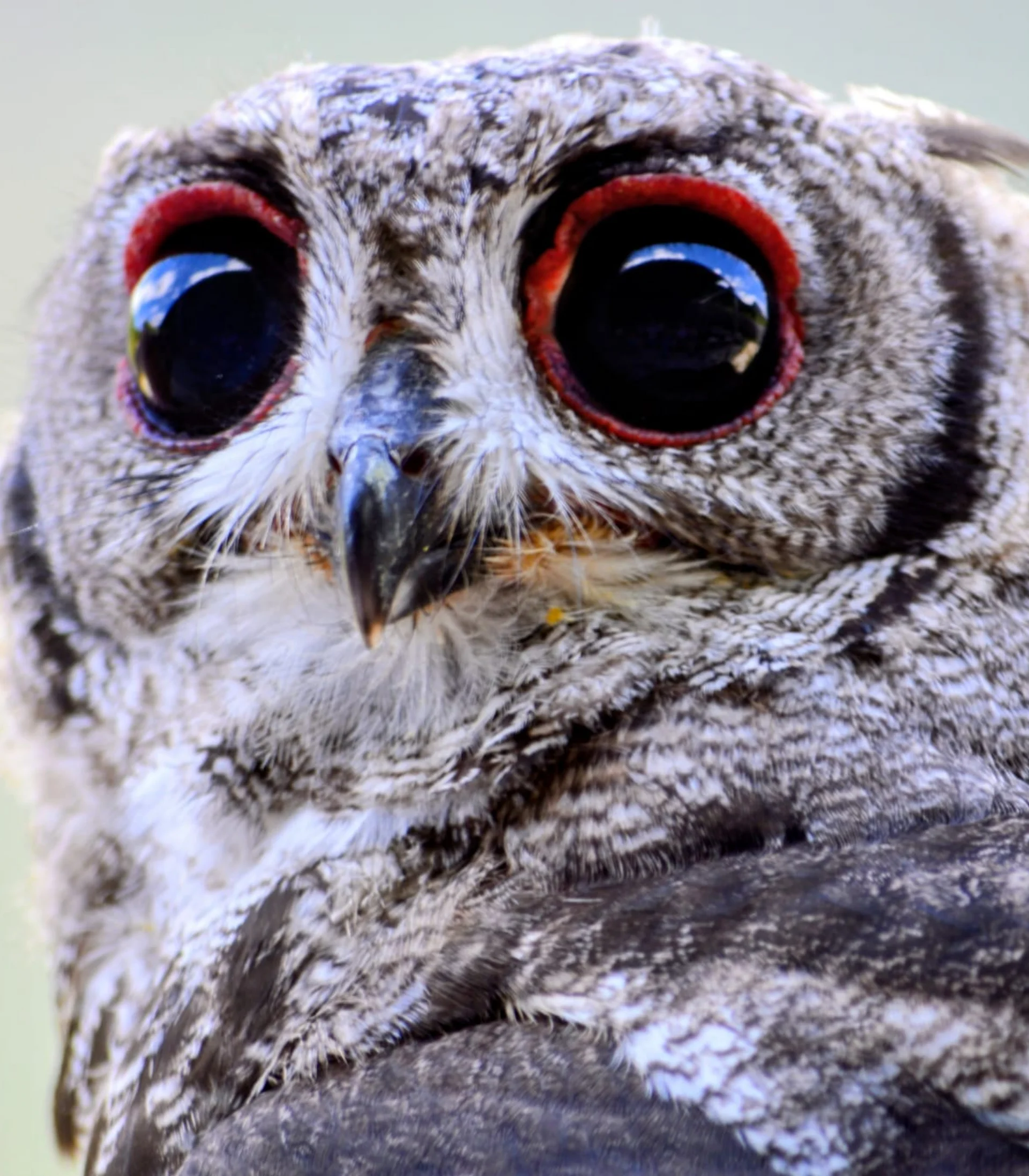Val Pusteria: tour ed escursioni