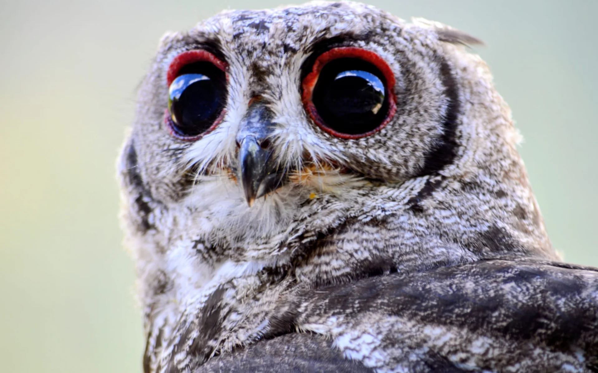 Parco delle Civette, San Vigilio